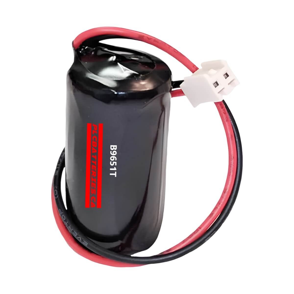 Fanuc Series 1, Series 3, Plc Battery Replacement