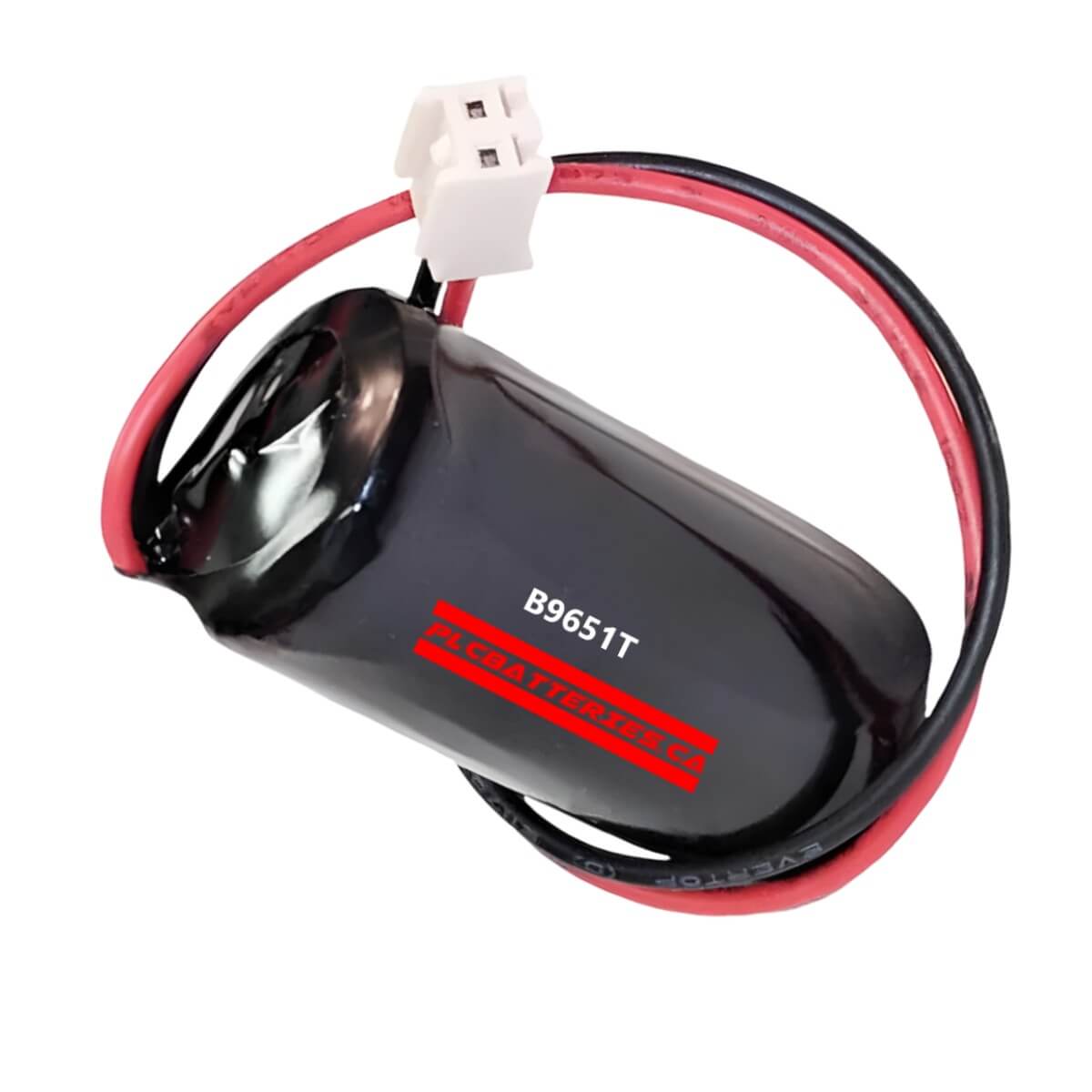 Fanuc Series 1, Series 3, Plc Battery Replacement