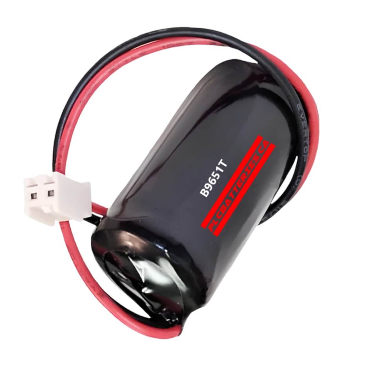 Fanuc Series 1, Series 3, Plc Battery Replacement